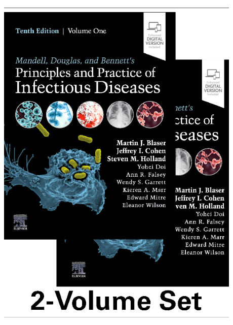 MWB- Textbooks US 0312 (1).png